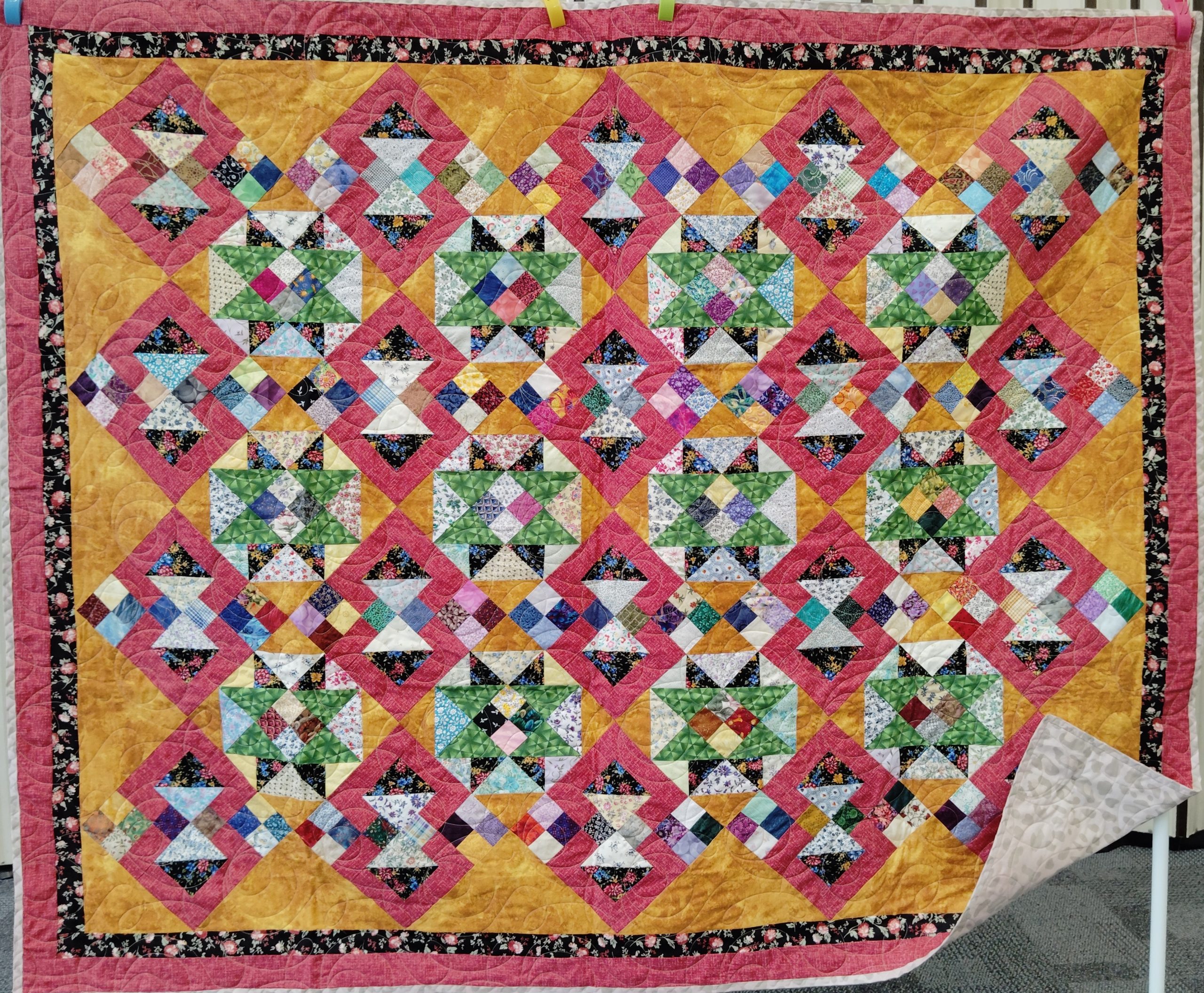 A colourful arrangement 
